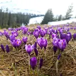 Hotell Alpin Eco & Wellness