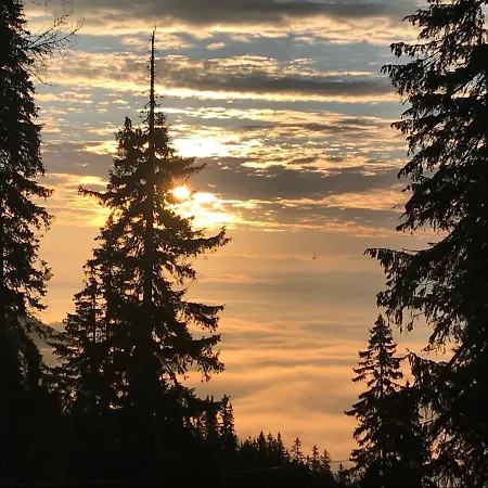 מלון Alpin Eco & Wellness