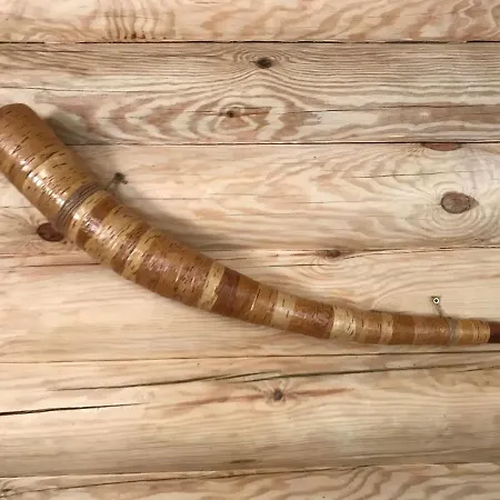 Alpin Eco & Wellness מלון דראגובראט