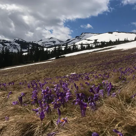 Alpin Eco & Wellness