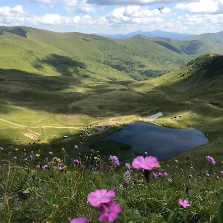 Отель Alpin Eco & Wellness *