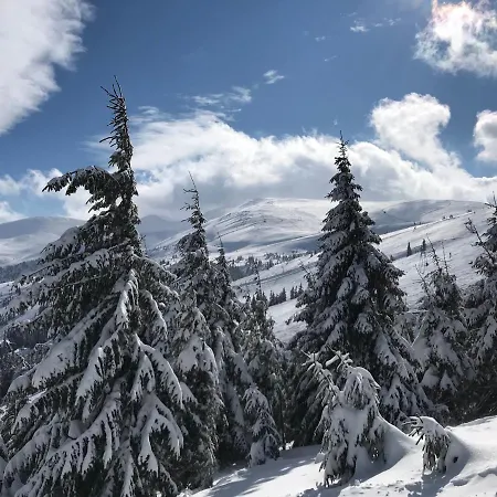 מלון Alpin Eco & Wellness *