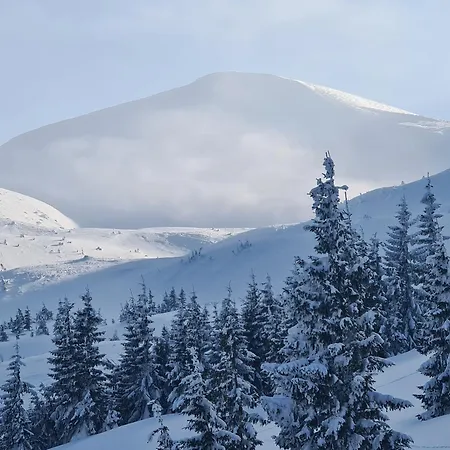 Alpin Eco & Wellness מלון *