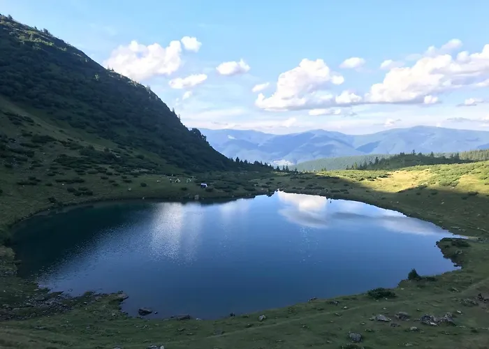 Alpin Eco & Wellness *