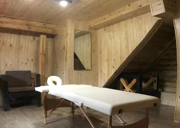 Alpin Eco & Wellness 酒店
