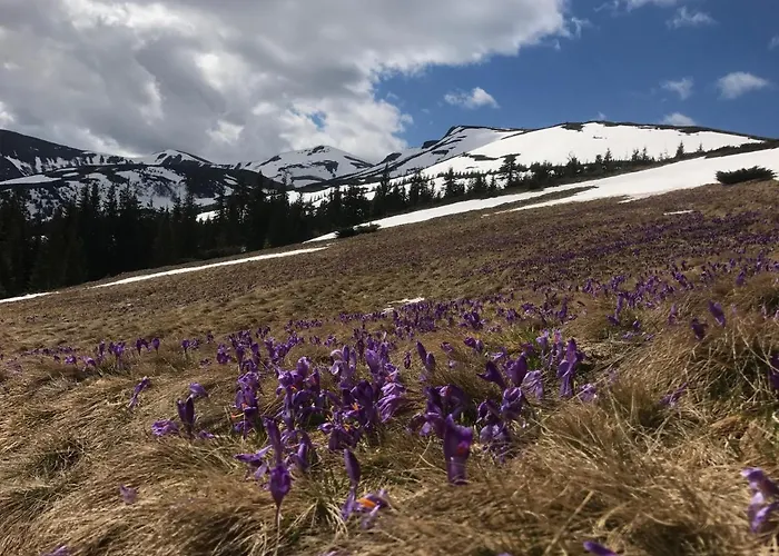 Alpin Eco & Wellness