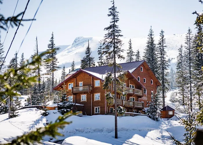 酒店 Alpin Eco & Wellness *
