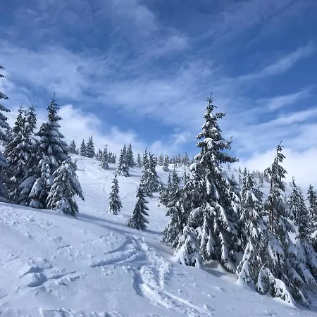 Hotel Alpin Eco & Wellness