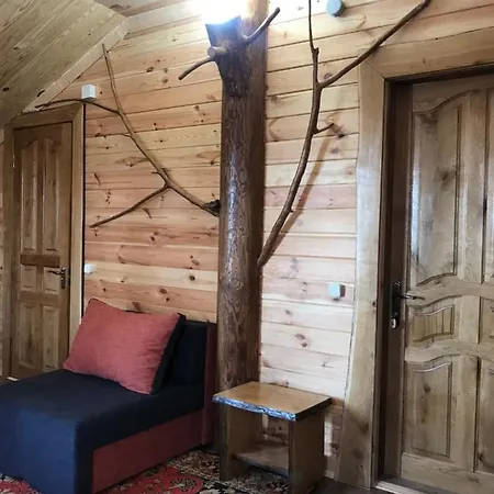 Alpin Eco & Wellness * Drahobrat