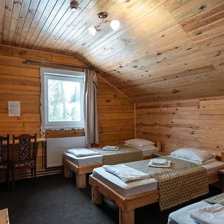 Alpin Eco & Wellness * Drahobrat